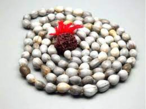 Vaijanti Mala - 1 No