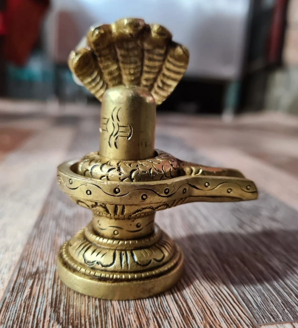 Nag Shivling - 1, 250 Gram
