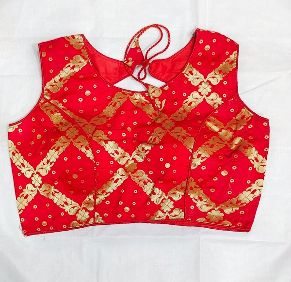 Fancy Blouse - 02