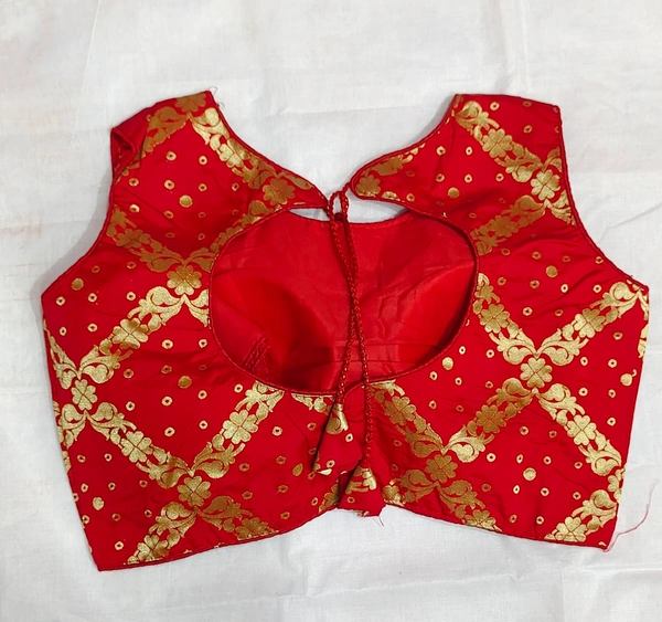 Fancy Blouse - 02