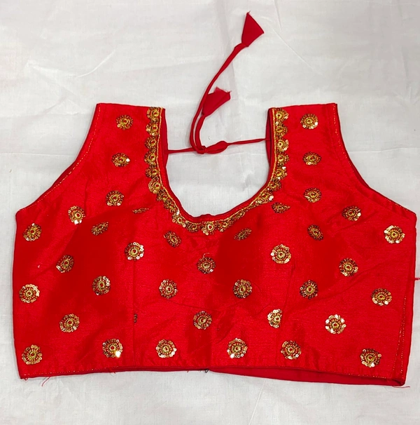 Fancy Blouse -4