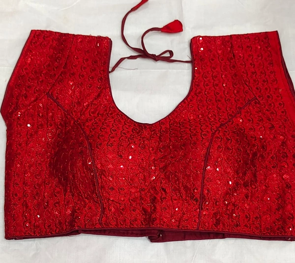 Fancy Blouse -5