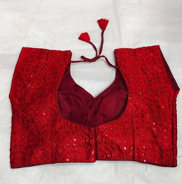 Fancy Blouse -5