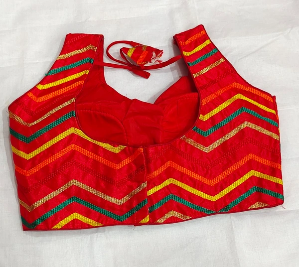 Fancy Blouse - 11