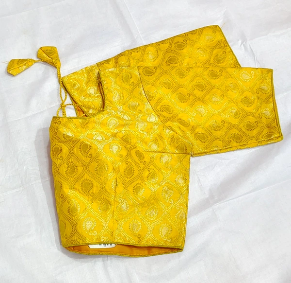 Fancy Blouse - 13