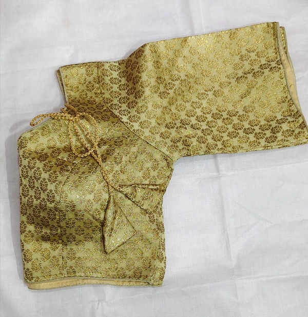 Fancy Blouse - 15
