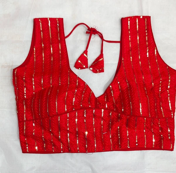 Fancy Blouse  - 20