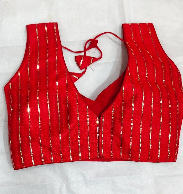 Fancy Blouse  - 20