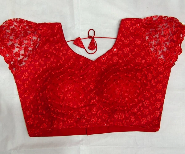 Fancy Blouse  - 21