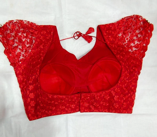 Fancy Blouse  - 21