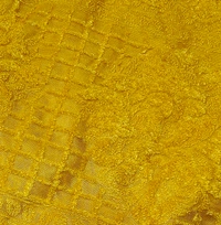 Dupatta-03 - Old Gold