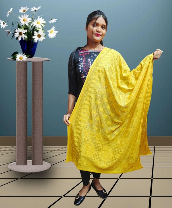 Dupatta-03 - Hampton