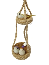   Nest-01
