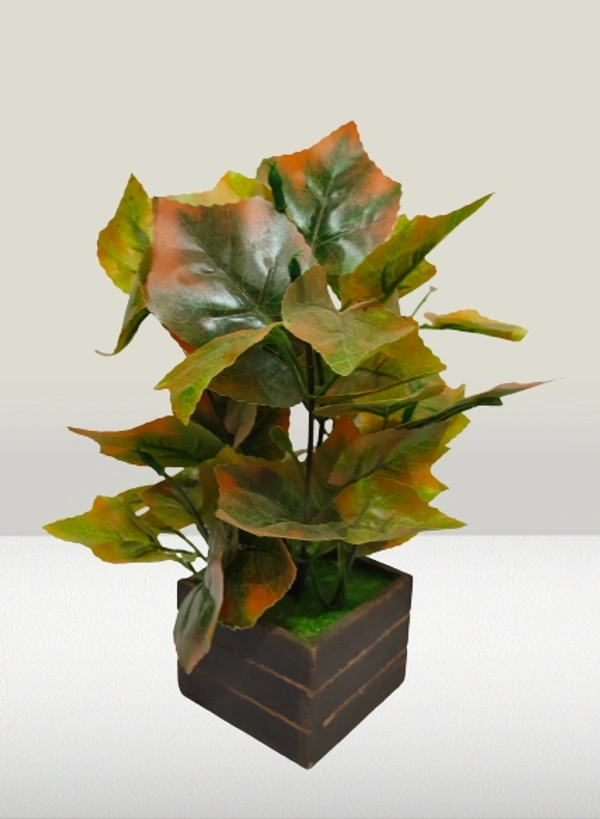 Deciduous tree-04