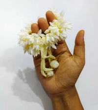 Gajra-A1