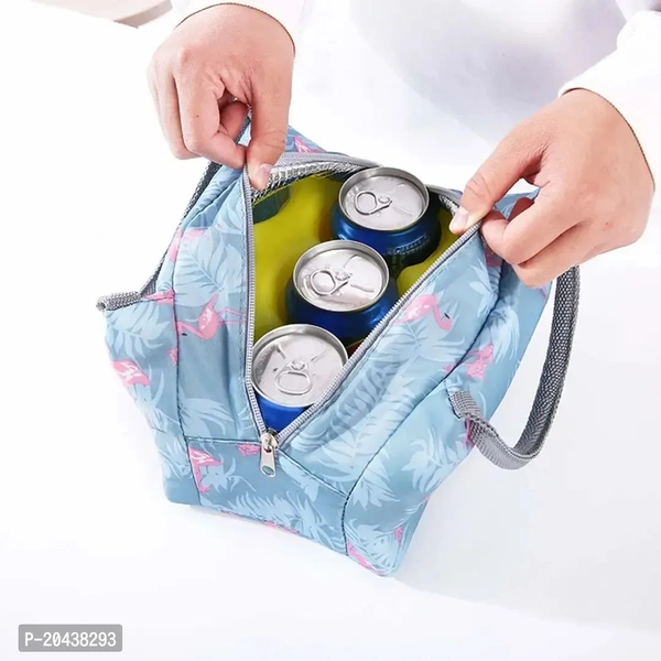 Tiffin Storage Box BB-19GR