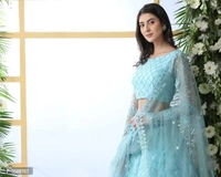 Lehenga Choli BB-81GR