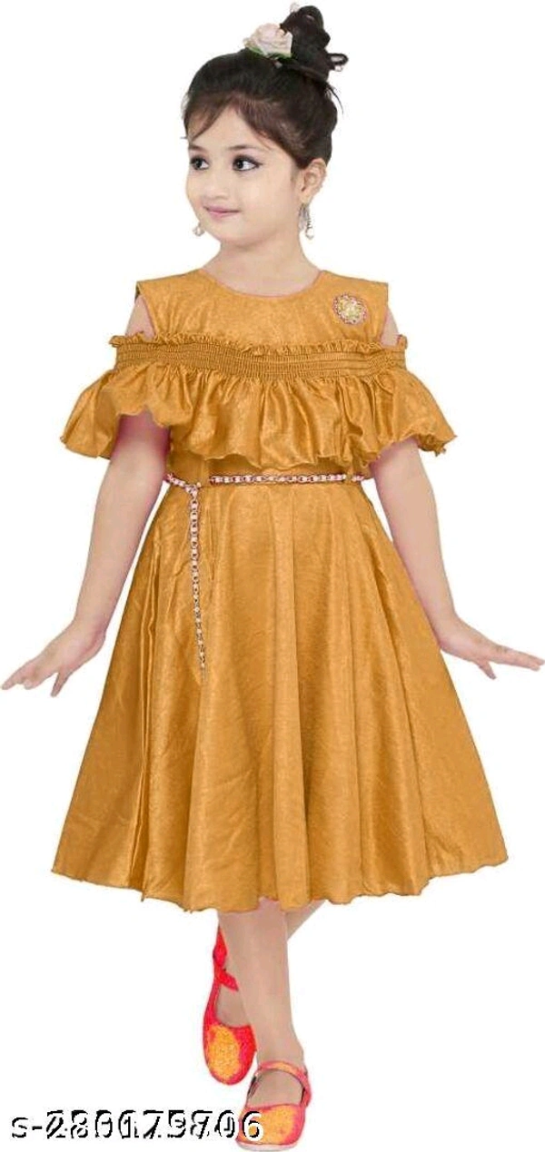Princess Elegant Girls Frocks & Dresses - MH06 - 2, 8-9
