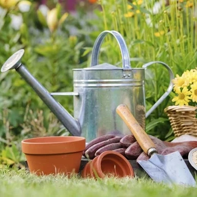 Gardening