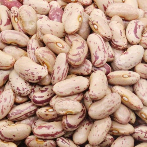 Rajma - White, 500gm