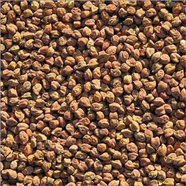 Desi Chana - 1kg