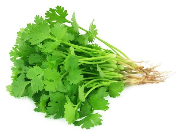 Dhaniya Leaf - 100 GM