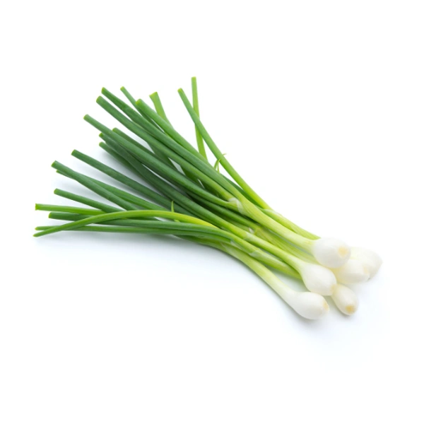 Spring Onion - 1 Bunch