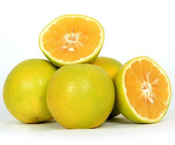 Mosambi - 1 KG