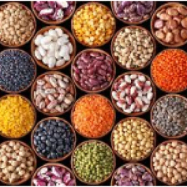 PULSES & CEREALS