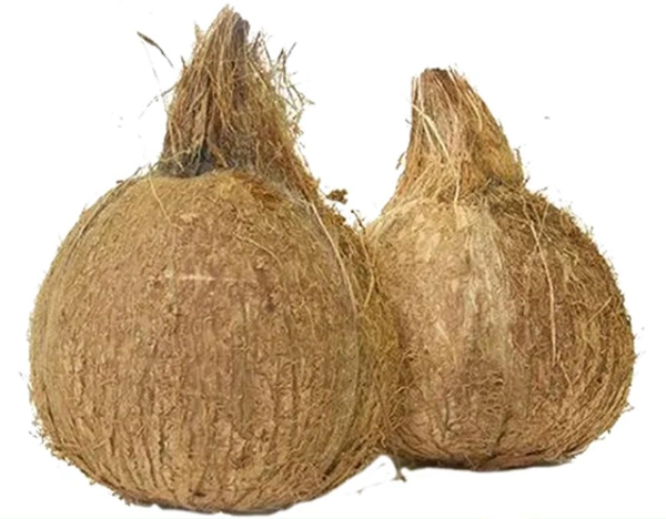 Coconuts - 1 KG, Approx 600 Gm Each