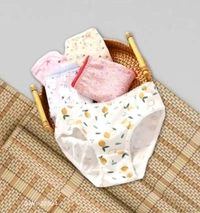 GIWc-22304 Kids Cotton Panty - 3-4 Years