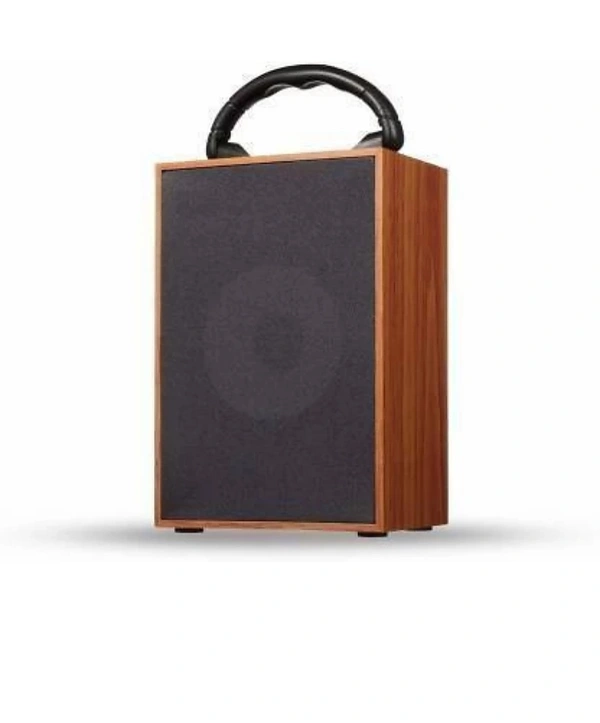 Vali Wooden Speaker - Wodeen