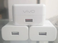 Vivo 100 OG Charger  - White