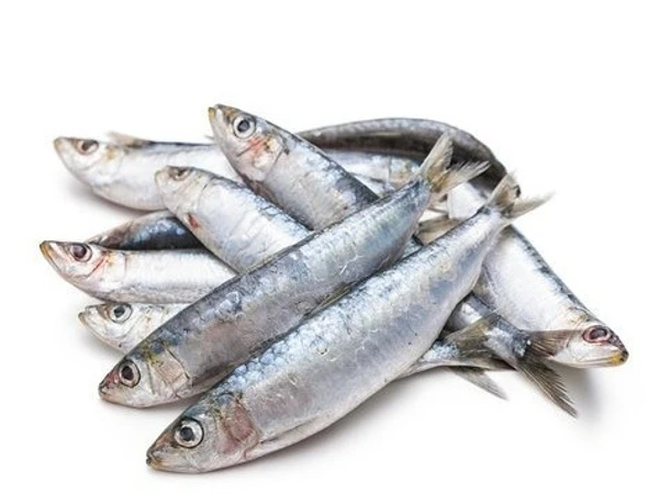 Sardine| നാടൻ മത്തി 1.5kg