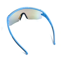 Sports Sunglasses  - blue