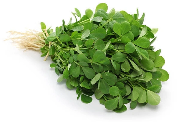 Methi Saag - Fenugreek Leaves (1 Bundle) 