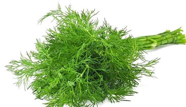 सोया पत्ता - Soya Leaves (1 Bundle) 