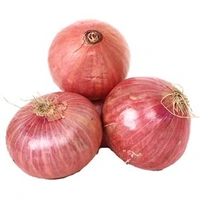 Onion 🧅 - 500g