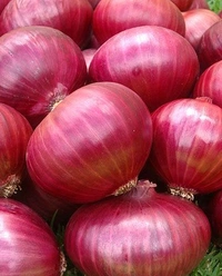 Onion 🧅 - 1kg