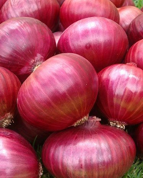 Onion 🧅 - 1kg