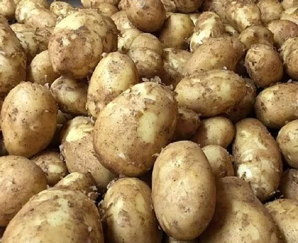 Potato New (Naya Aloo) - 1kg