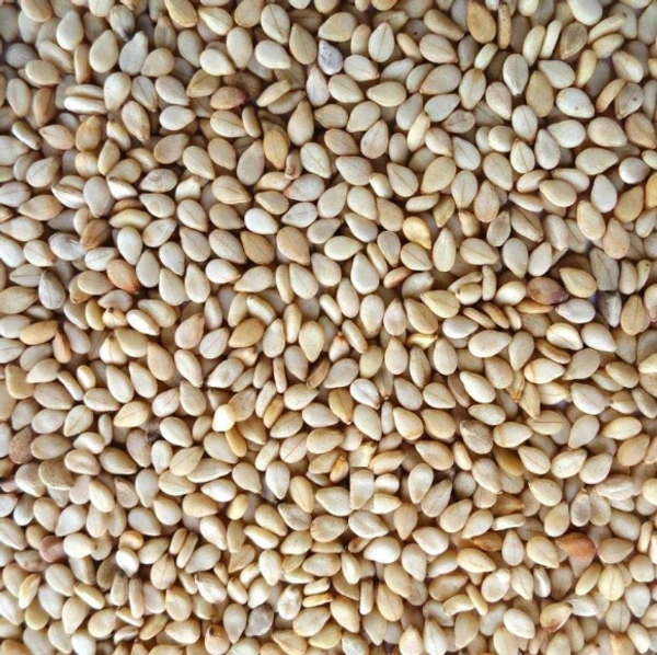 Nuvvu Pappu - 500g