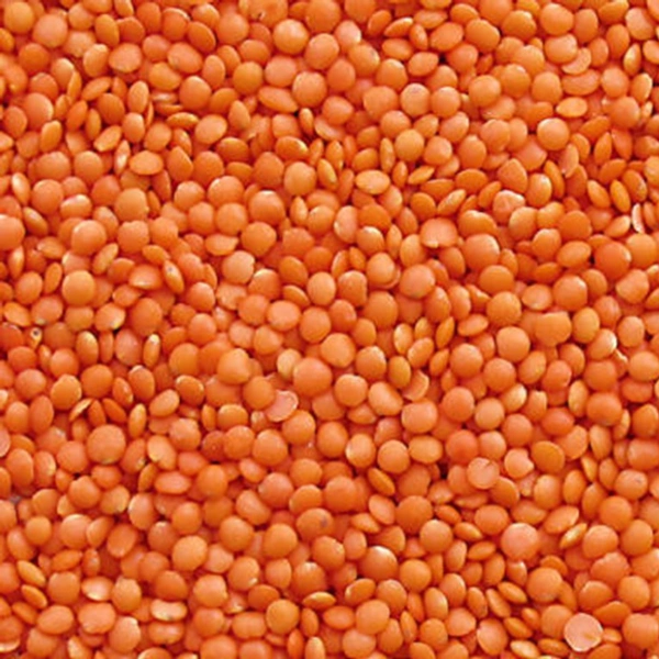 Masoor Dal - 500g