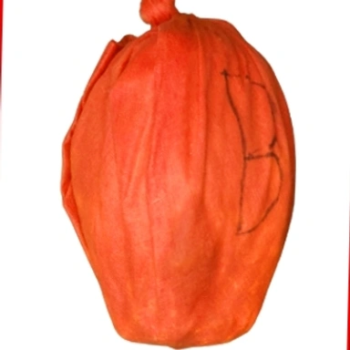 Raksha Kavach