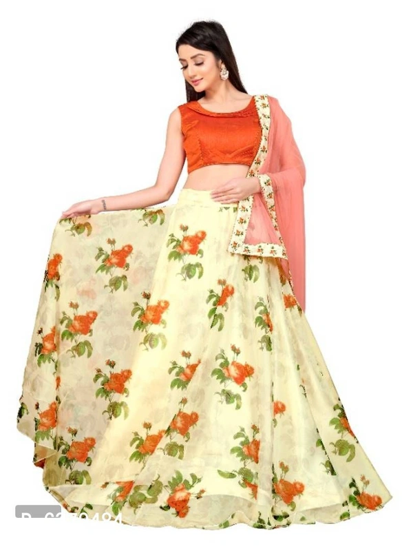 Attractive Net Lehenga Choli  - Free Size