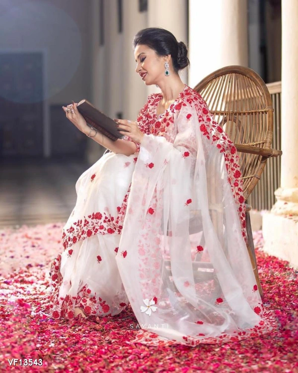 Catalog Name: *Orgenza Silk Saree* - Free Size