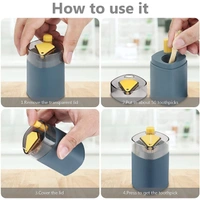 Automatic Toothpick Holder - Peach Schnapps