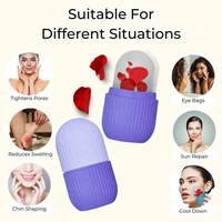 Beauty Ice Roller for Face & Eye Reusable Face Rollers Facial Roller Box - Mulberry