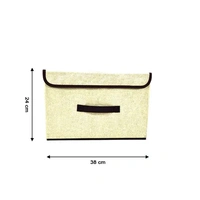 Foldable Storage Box - Chelsea Cucumber