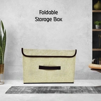 Foldable Storage Box - Chelsea Cucumber
